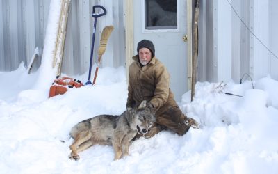 Tuesday February 12, 2013