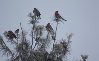 Wednesday February 13, 2013