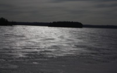 Saturday, February 19, 2011