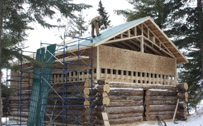 Sunday, February 20, 2011