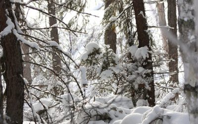 Saturday February 16, 2013