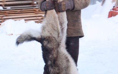 Friday February 15, 2013