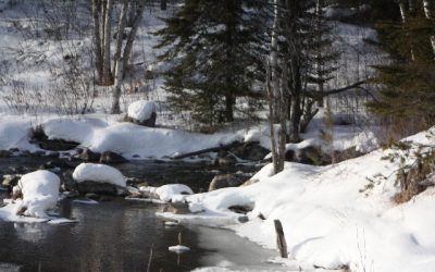 Monday, February 21, 2011