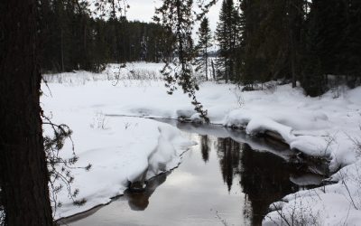 Thursday, February 24, 2011