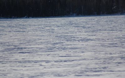 Thursday February 21, 2013