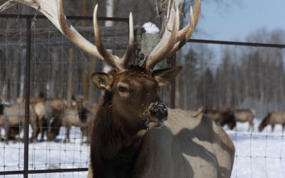 Friday February 22, 2013