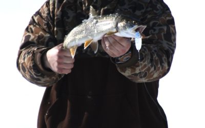 Wednesday February 27, 2013