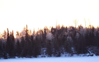 Thursday March 7, 2013