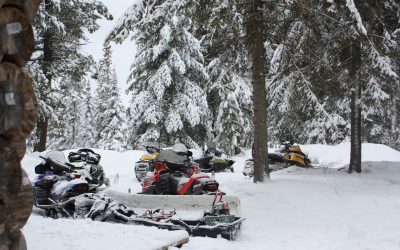 Sunday March 10, 2013