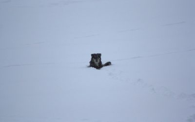 Tuesday March 19, 2013