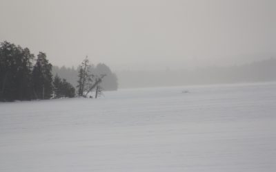 Wednesday March 20, 2013