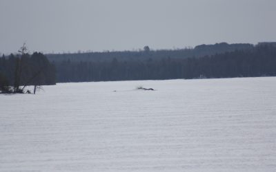 Wednesday April 10, 2013