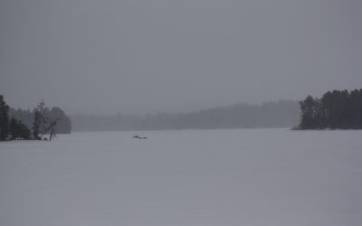 Friday April 12, 2013