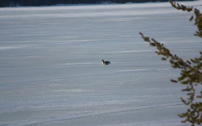 Saturday April 27, 2013