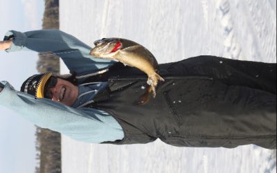 Friday, March 18, 2011