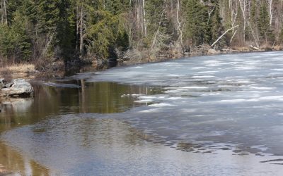 Wednesday May 8, 2013