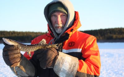 Saturday, March 26, 2011