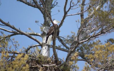 Thursday March 31, 2011