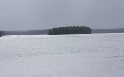 Saturday May 11, 2013