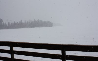 Sunday April 3, 2011