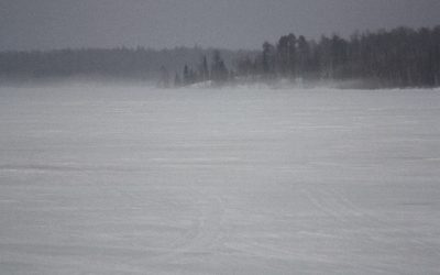 Friday April 8, 2011