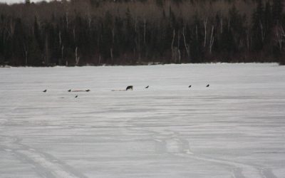 Wednesday April 13, 2011