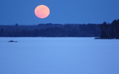 Monday April 18, 2011