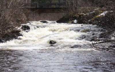 Sunday April 24, 2011