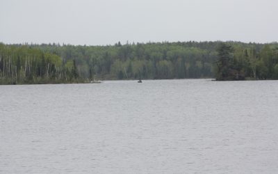 Saturday June 1, 2013