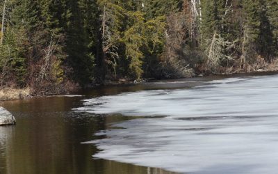 Monday April 25, 2011