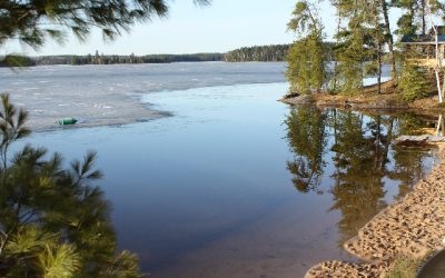 Friday April 29, 2011