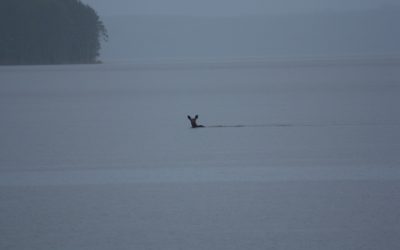 Monday June 10, 2013