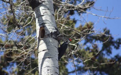 Wednesday May 4, 2011