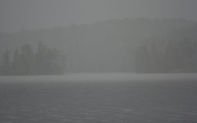 Friday June 21, 2013