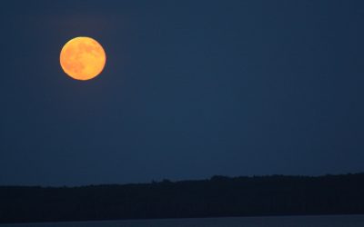 Monday June 24, 2013