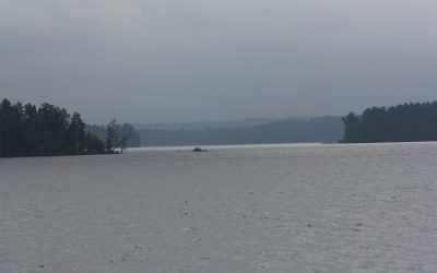 Monday July 22, 2013