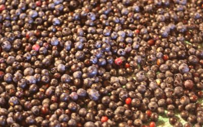 Tuesday July 23, 2013