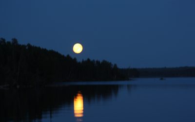 Wednesday July 24, 2013