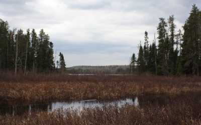 Thursday May 12, 2011