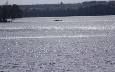 Saturday May 14, 2011