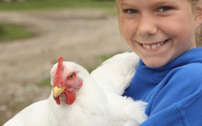 Wednesday July 31, 2013