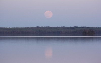 Tuesday May 17, 2011