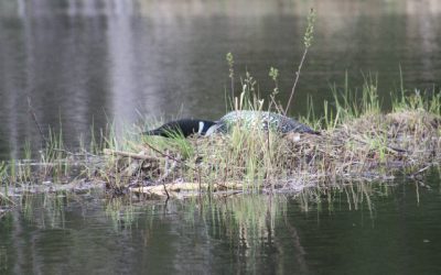 Saturday May 21, 2011