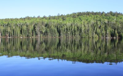 Wednesday May 25, 2011