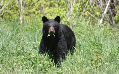 Saturday May 28, 2011