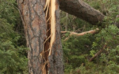 Thursday August 29, 2103