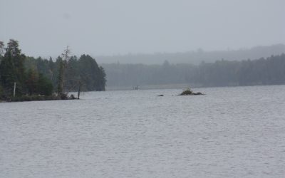 Friday September 20, 2013