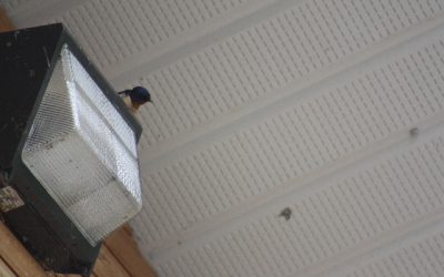 Saturday June 25, 2011