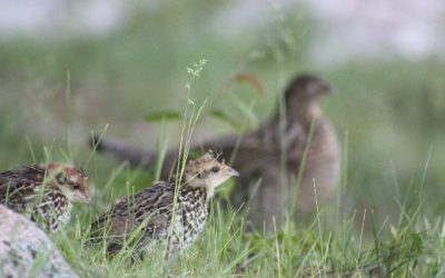 Saturday July 2, 2011