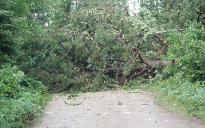 Tuesday July 5, 2011